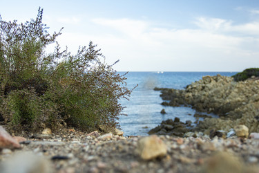 Similar image 22745917