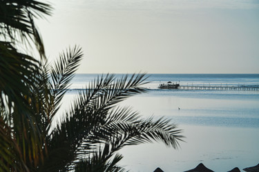 Similar image 22736688