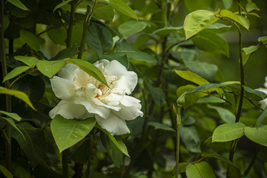 Similar image 22719349