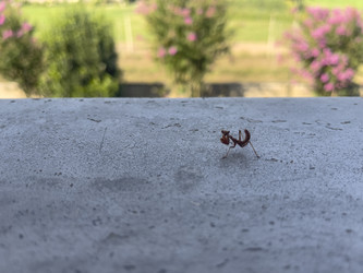 Similar image 22725723