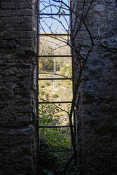 Similar image 22728982