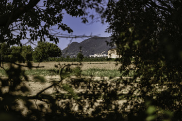 Similar image 22729102