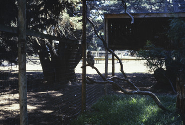 Similar image 22734072