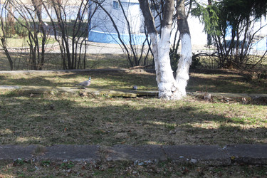 Similar image 22752593