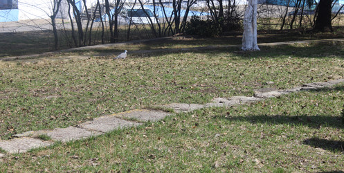 Similar image 22752594