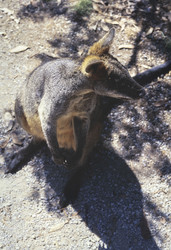 Similar image 22736869