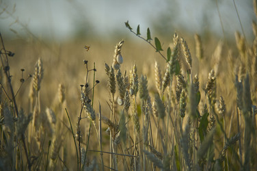 Similar image 22738928