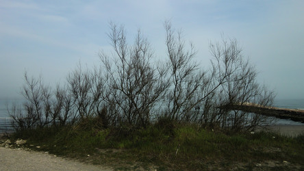 Similar image 22693247