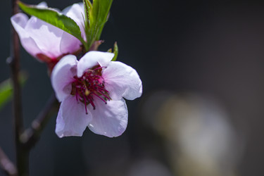 Similar image 22719184