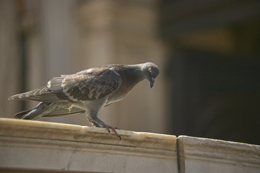 Similar image 22719259