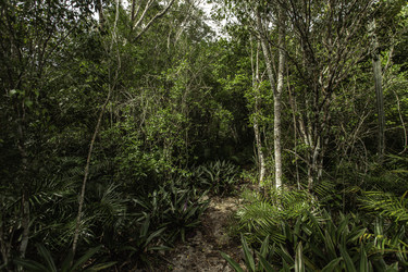 Similar image 22728967