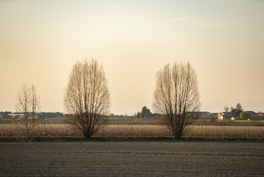 Similar image 22734193