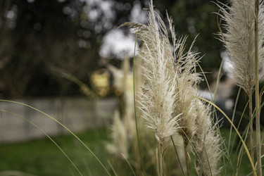Similar image 22734328