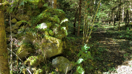 Similar image 22719171