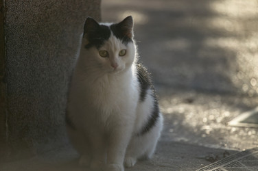 Similar image 22729147