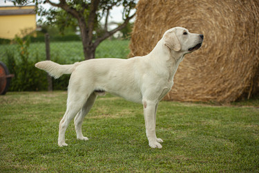Similar image 22734030