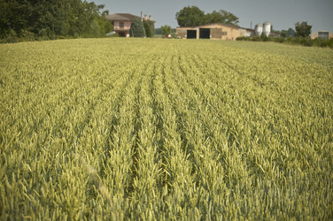 Similar image 22734342