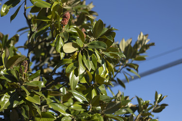 Similar image 22734452