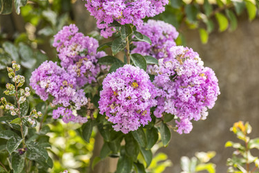 Similar image 22734676