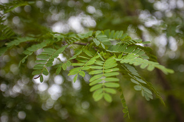 Similar image 22734688