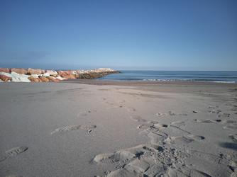 Similar image 22719084