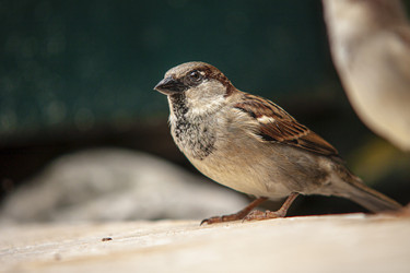 Similar image 22719394