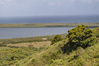 Similar image 22734645