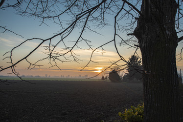 Similar image 22729134