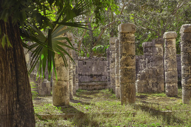 Similar image 22729239