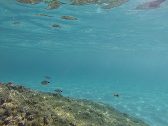 Similar image 22734418