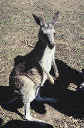 Similar image 22734438