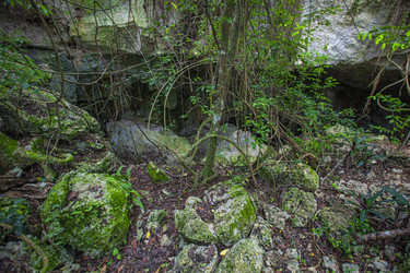 Similar image 22736708