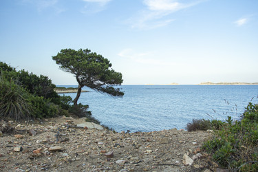 Similar image 22736722