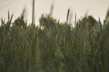 Similar image 22736735
