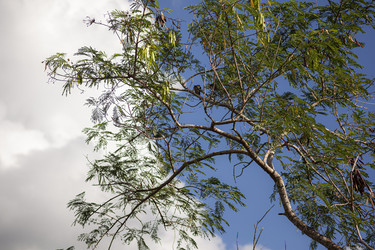 Similar image 22719202