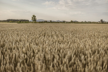 Similar image 22725846
