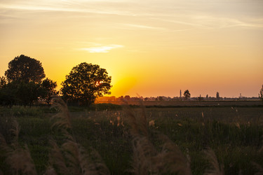 Similar image 22727501