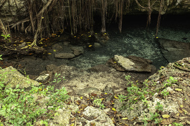 Similar image 22729166