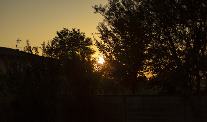 Similar image 22729209