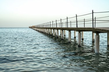 Similar image 22729419