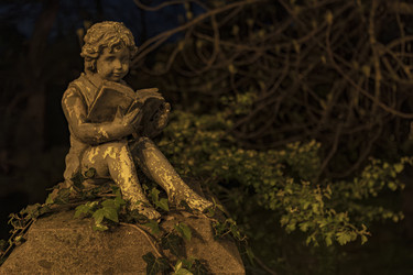 Similar image 22733835
