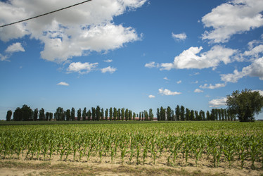 Similar image 22733988