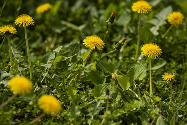 Similar image 22725906