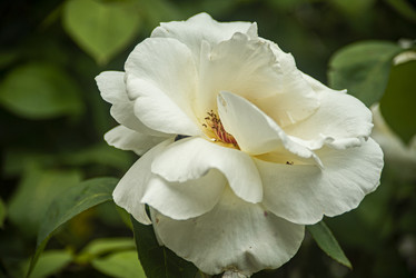 Similar image 22727470