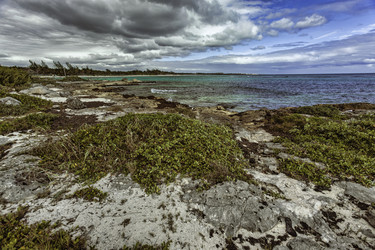 Similar image 22663026
