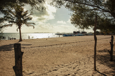 Similar image 22663178