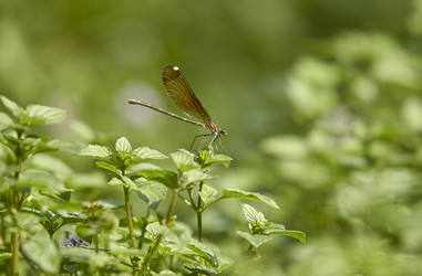 Similar image 22663209
