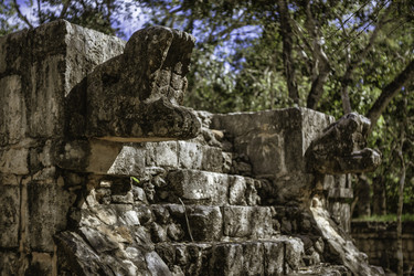Similar image 22663253