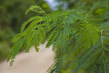 Similar image 22662893