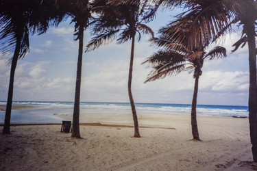 Similar image 22663104